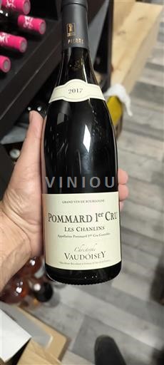 Borgoña No especificado Premier Cru Domaine Vaudoisey Les Chanlins 2017