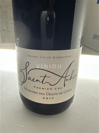 Burgundy Saint-Aubin Premier Cru Domaine Domaine Murgers des Dents de Chien 2017