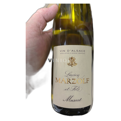 Alsace Không được chỉ định Lucien Marzolf Không niên vụ