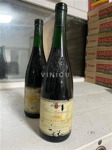 Loire Valley Saumur-Champigny Les Arpents 1992