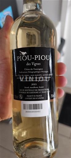 Sud-Ouest Côtes de Gascogne Le Piou-Piou des Vignes 2023