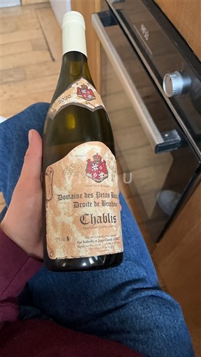 Burgundy Chablis Domaine S Petits Bois Droite de Brécy 2020