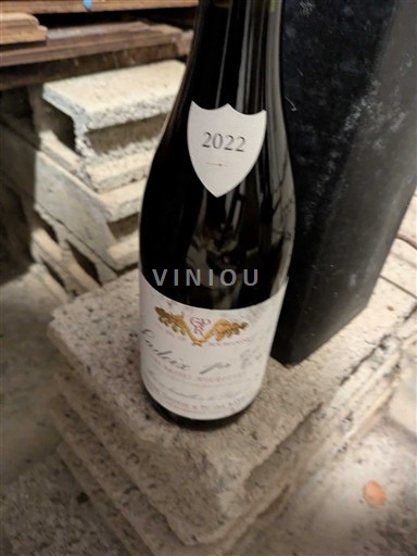 Bourgogne Ladoix Premier Cru Domaine Gaston & Pierre Ravaut Les basses Mourottes 2022