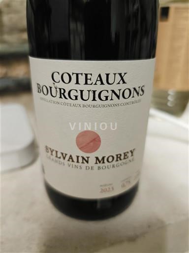 Bourgogne Bourgognebackar Sylvain Morey 2021