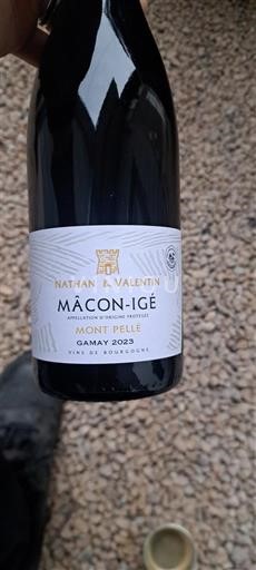 Burgundi Mâcon ja Mâcon-kylät Nathan & Valentin Mont Peler 2023