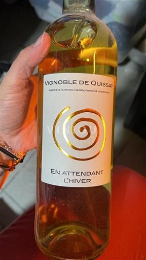 Sudoeste Côtes del Tarn Vignoble de Quissat En Attendant l'Hiver Sin añada