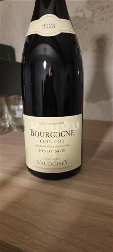 Burgundy Burgundy Côte d'Or Vaudoisey 2023