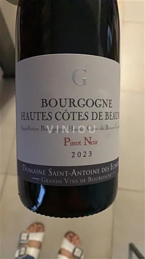 Bourgogne Hautes Côtes de Beaune Domaine Saint-Antoine des Echarmeaux Pinot Noir 2023