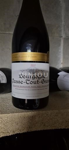 Borgoña Borgoña-passetoutgrain Cave d'Augustin Florent 2022
