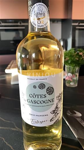 Zuidwest-Frankrijk Côtes de Gascogne Fontagnac 100% gros manseng 2023