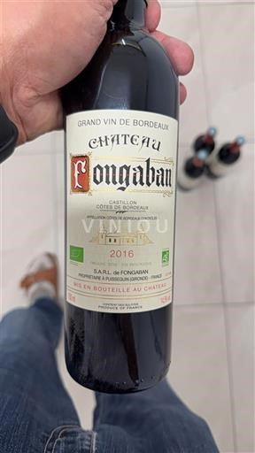 Bordeaux Castillon-côtes-de-bordeaux Château Fongaban 2016