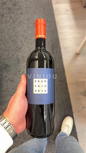 Toscana Chianti Classico Brancaia 2018