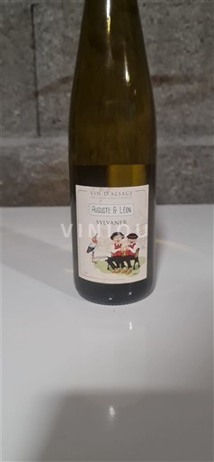 Alsace Auguste & Léon Không niên vụ