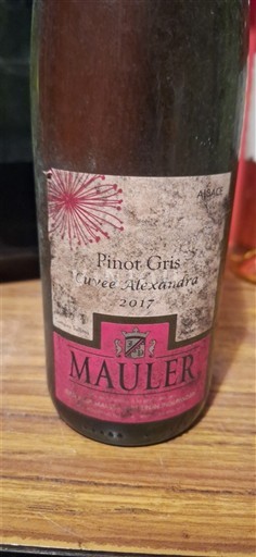 Alsasko Rulandské šedé Mauler Alexandra 2017