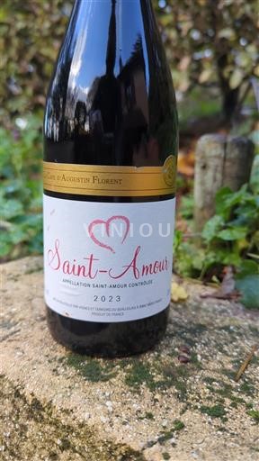 Beaujolais Saint-Amour Les Côtes Augustin Florent 2023