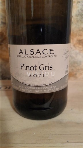 Alsacia Maurice King 2021