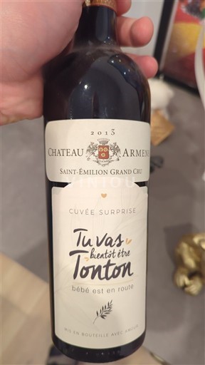 Bordeaux Saint-Émilion Grand Cru Grand Cru Château Armens Surprise 2013
