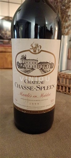 Bordeaux Moulis-en-Médoc Château Chasse-Spleen 1999