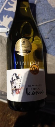Beaujolais Terra Iconia 2024