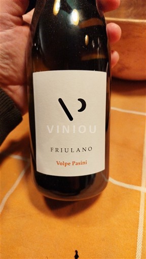 Friuli-Venezia Giulia Colli Orientali del Friuli Volpe Pasini Friulano 2024