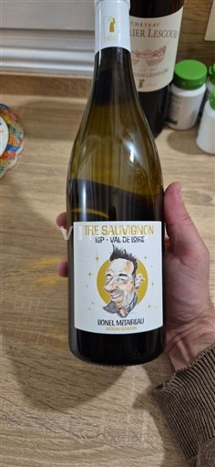 Dolina Loare Lionel Métaireau The Sauvignon Neleten.