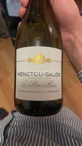 Valle del Loira Menetou-Salon La Petite Plante 2023