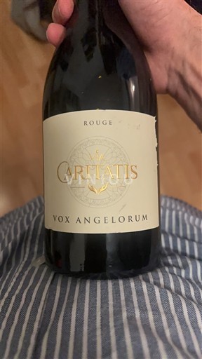 Rhônen laakso Ventoux Caritatis Vox Angelorum 2020