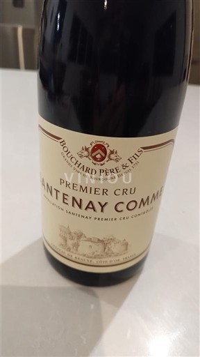 Burgundy Santenay Premier Cru Bouchard Père & Fils Santenay Comme Premier Cru Non-Vintage