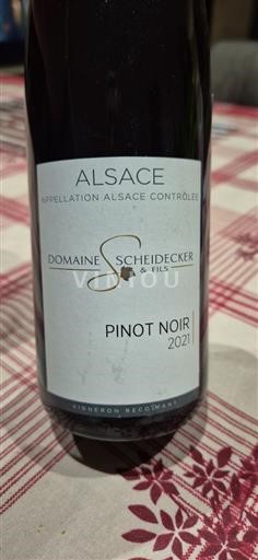 Elsass Domaine Scheidecker & Fils Pinot Noir 2021