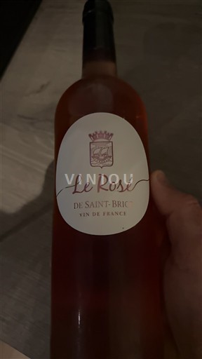 Bourgondië Bourgogne Saint-Bric Le Rosé 2024