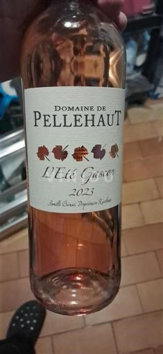 Southwest Côtes de Gascogne Domaine Pellehaut L'Été Gascon 2023