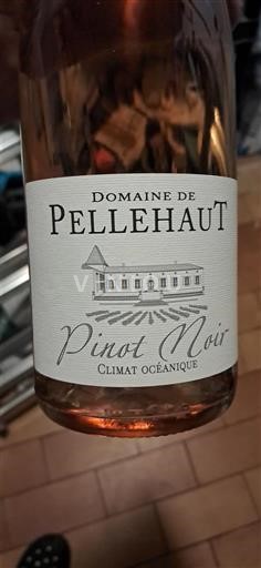 Sydvestfrankrig Côtes de Gascogne Domaine Pellehaut Pinot Noir Climat Océanique 2023