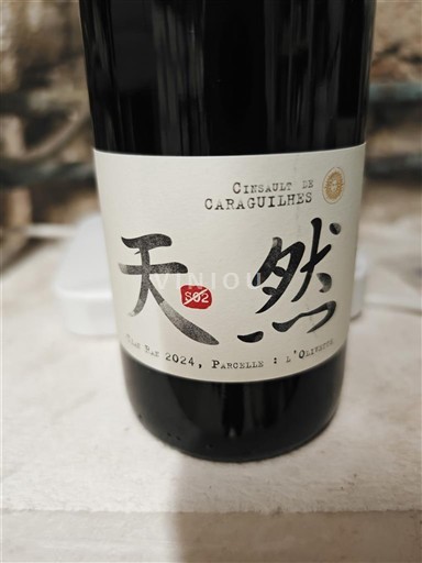 Languedoc Corbières Château Caraguilhes Paroles à l'Outsider 2024