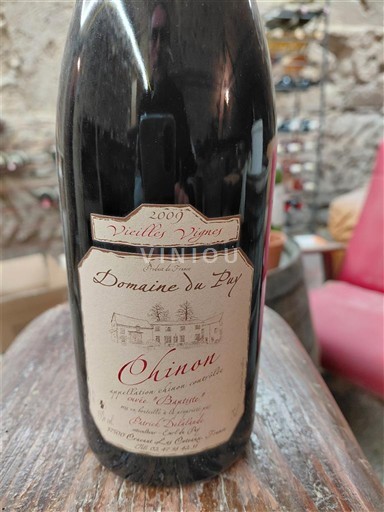 Loire Valley Chinon Domaine Puy Vieilles Vignes 2009