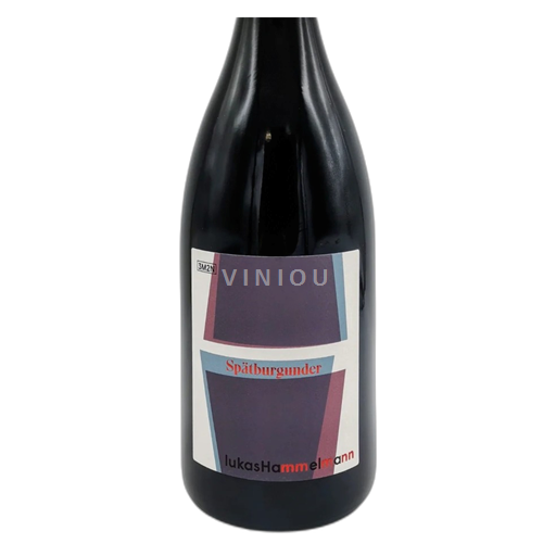 Falcko Falc. Lukas Hammelmann Hochstadt Roter Berg 2022