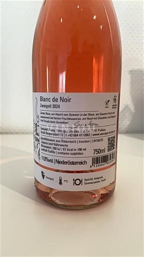 Mousserende wijnen Rosé sec Blanc de Noir Zweigelt Weingut Jordan & J 2024 Oostenrijk Neder-Oostenrijk Niet gespecificeerd