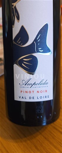 Valle della Loira Domaine Ampelidae 2024