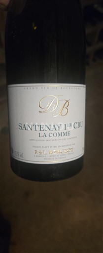 Bourgondië Santenay Premier Cru P. & L. Borgeot La Comme 2022
