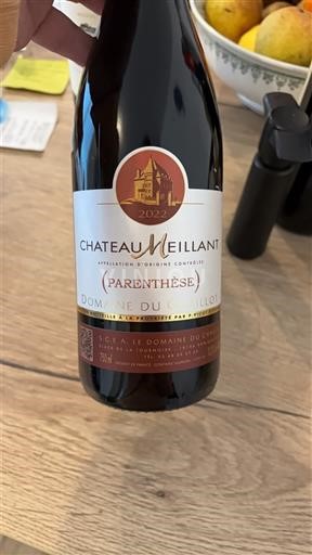 Vinhos Rouge sec Parenthèse Domaine Cloître 2022 França Vale do Loire Châteaumeillant AOC