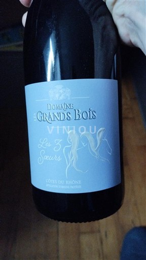 Valle del Rodano Côtes-du-Rhône Domaine S Grands Bois Les 3 Sœurs Senza annata