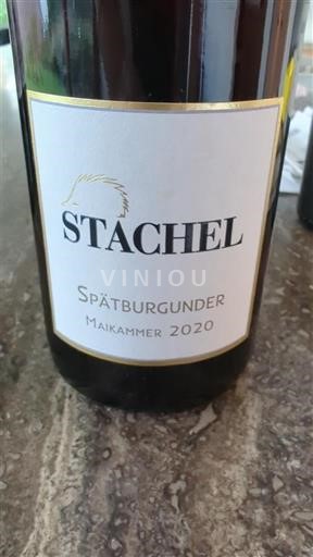 Falcko Falc. Stachel Maikammer 2020