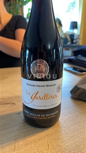 Vale do Loire Saint-Nicolas-De-Bourgueil Domaine Vincent Mabileau Les Garillères 2022