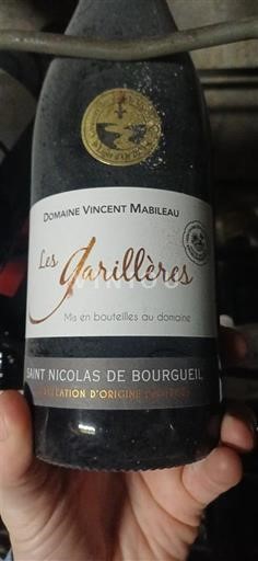 Údolí Loiry Saint-Nicolas-De-Bourgueil Domaine Vincent Mabileau Les Garillères 2022