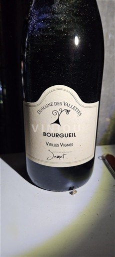 Dolina Loare Bourgueil Domaine S Vallettes Vieilles Vignes 2021