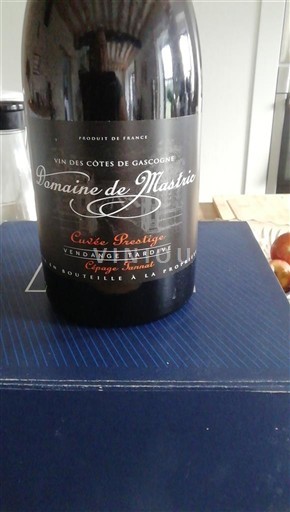 Zuidwest-Frankrijk Côtes de Gascogne Domaine Mastric Prestige Niet-geïntegreerd