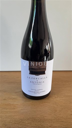 Valencian Community Valencia La Forcallà Antònia 2023