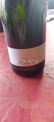 Katalonien Cava Palacio de Palau Icke årgångsbetecknad