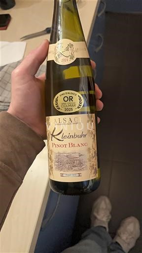 Alsazia Kleinbuhr 2021