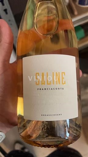 Lombardie Franciacorta Saline 2013
