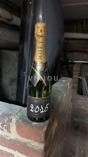 Champagne Šampanské Moët & Chandon Grand Vintage 2015